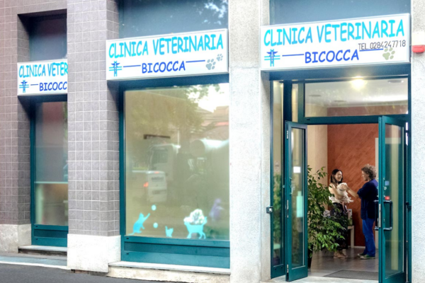 chirurgia veterinaria Milano
